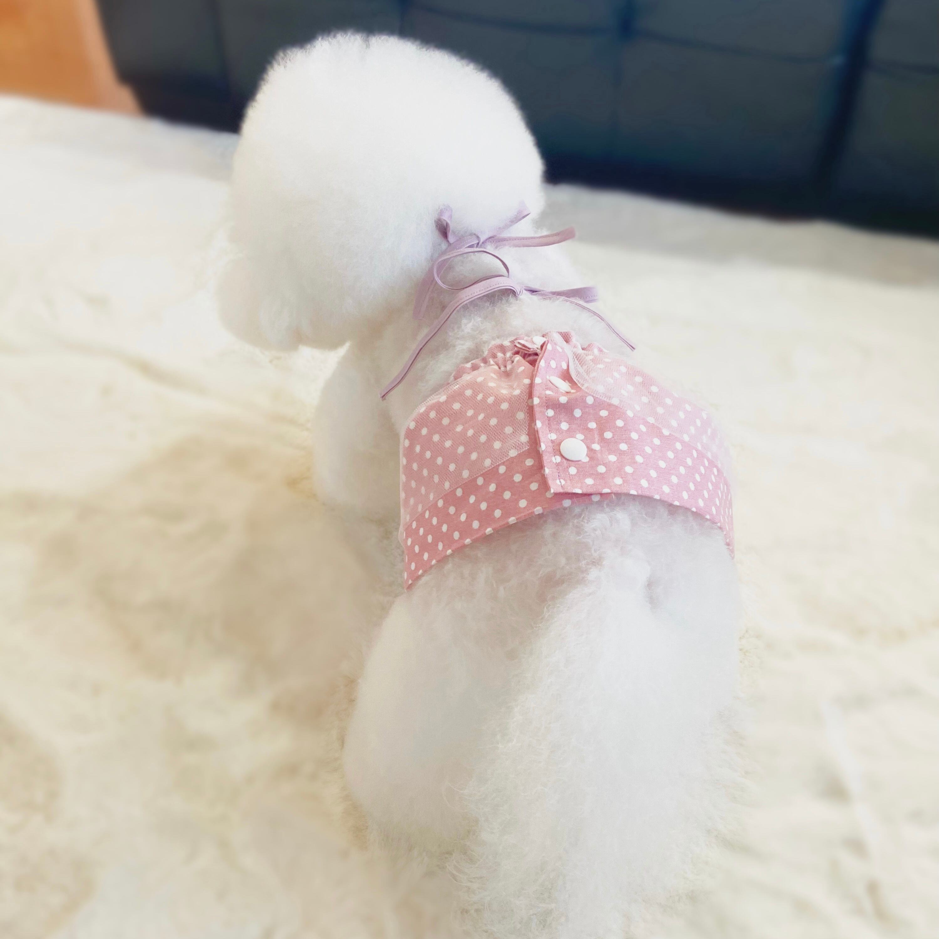 macaron】韓国風 くすみカラー 犬服 ビキニ 水着 水玉 チェック