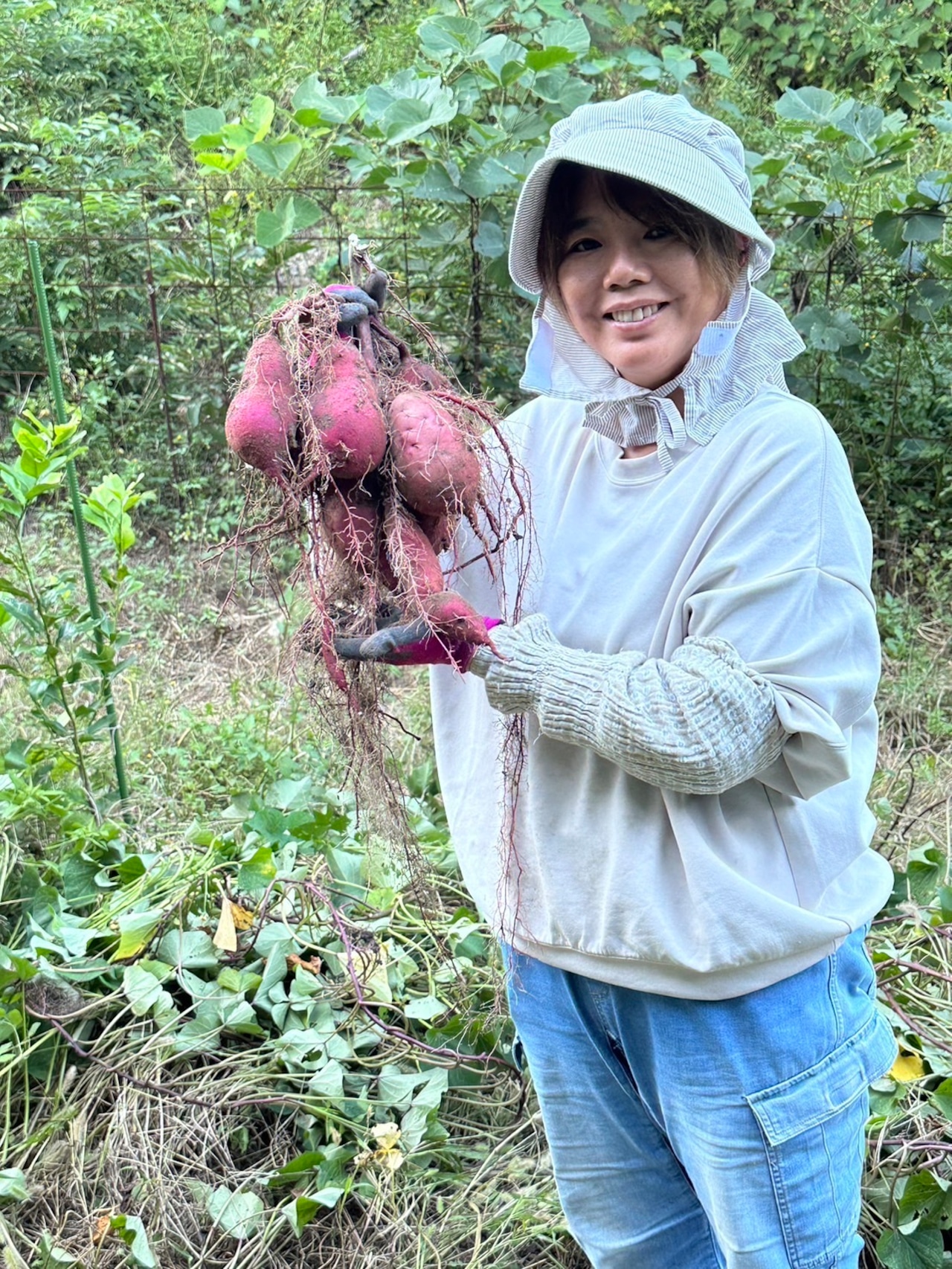 【農薬化学肥料不使用】一カ月熟成ねっとり紅はるか・皮までおいしい 2キロ