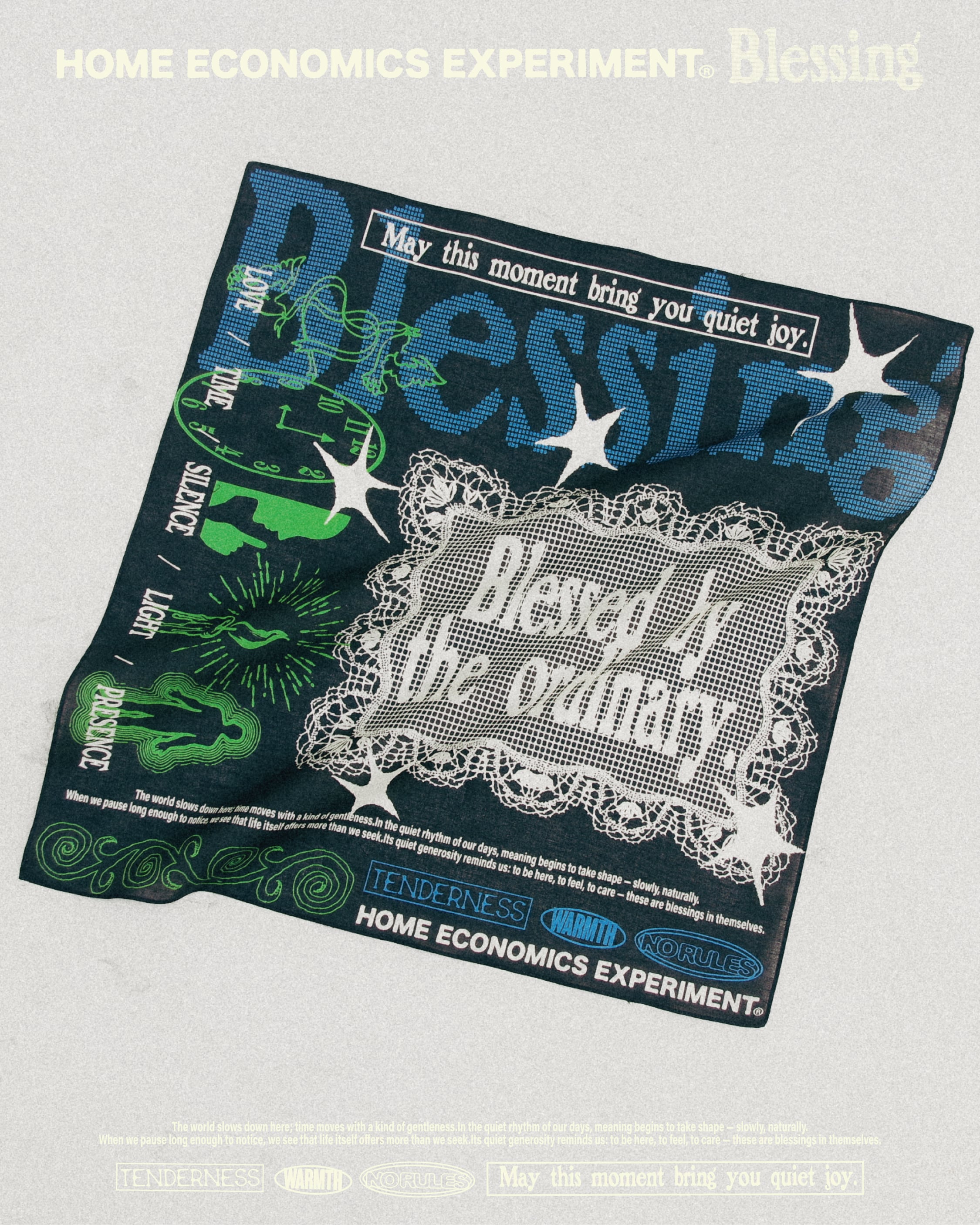 HOME ECONOMICS EXPERIMENT