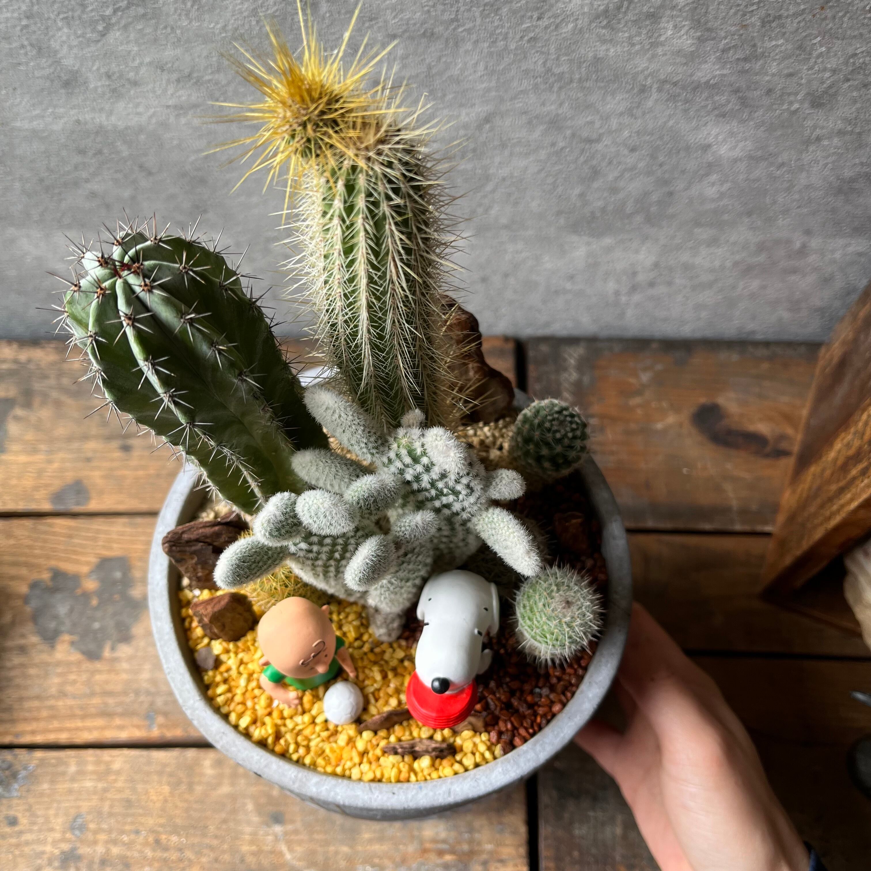 Charlie Brown&Snoopy | SABOTEN MISSILE