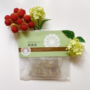 ⑨【薬膳茶】Ｃ.1個包装／爽美茶