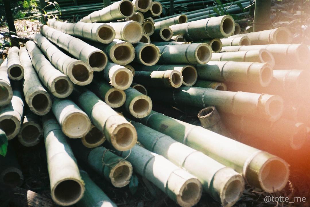 OLYMPUS OZ CLASSY 105 | Totte Me Camera