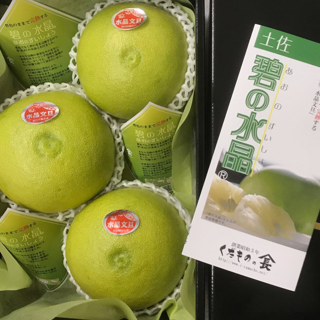 文旦09 文旦09