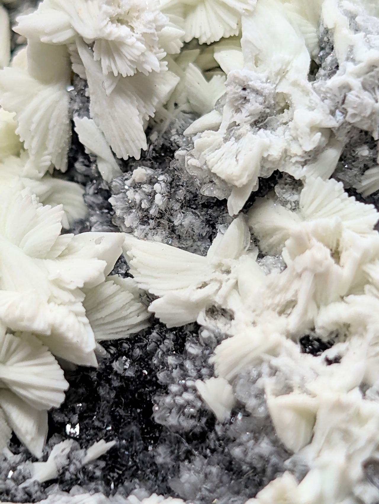 【sana様専用】ターブッタイト仮晶アパタイト  Skorpion Mine, Rosh Pinah, Karas Region, Namibia　AS94600309