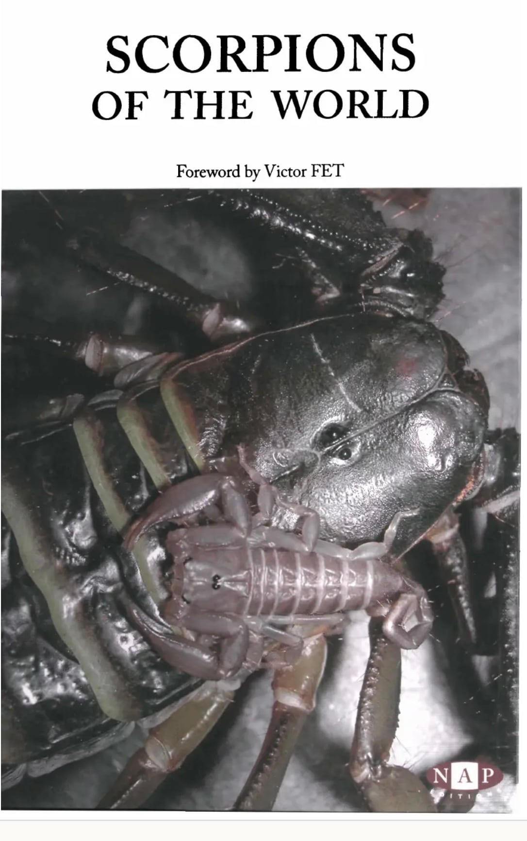 ムカデの飼育書 センチピードサソリタランチュラカマキリマンティス