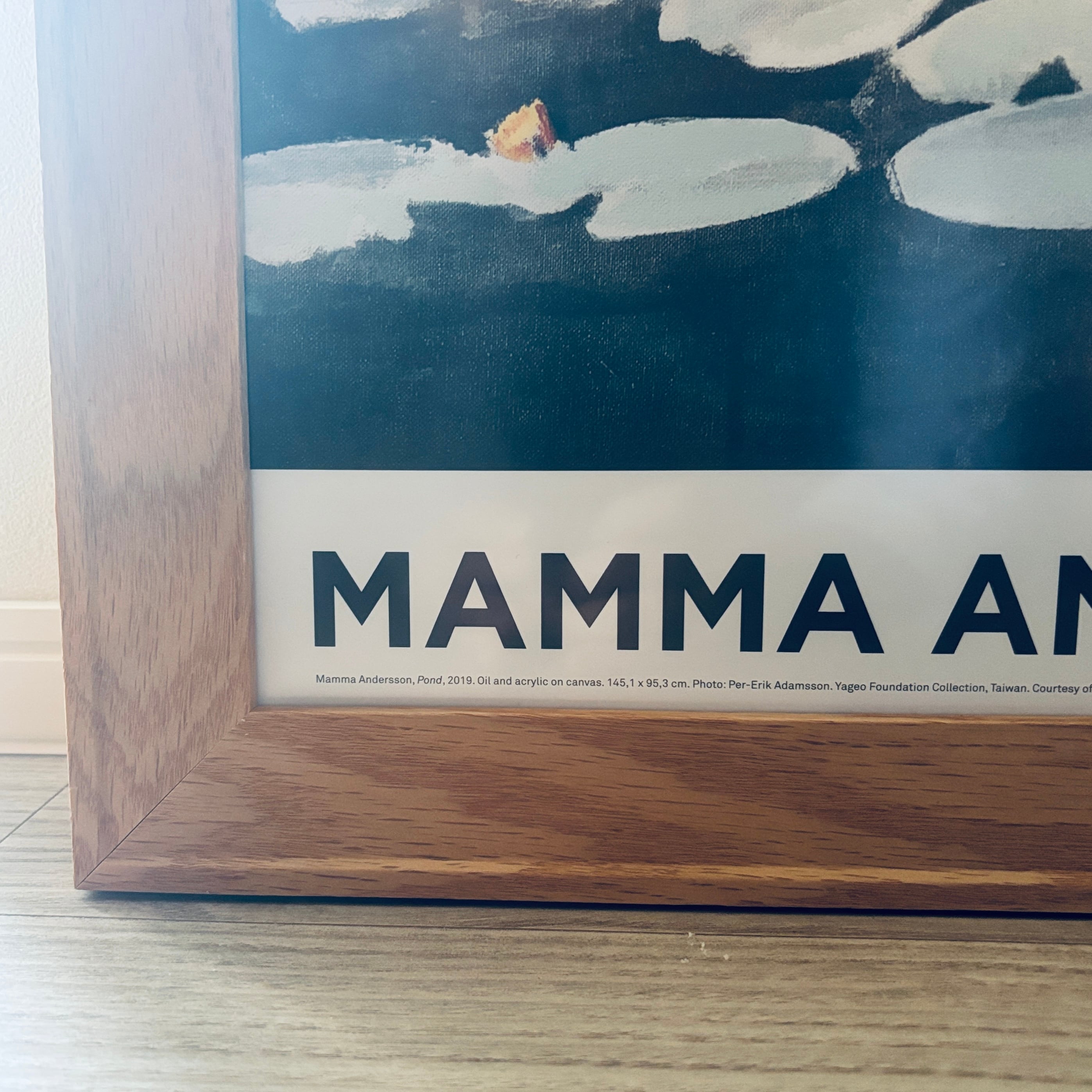 Mamma Andersson Pond Poster A1 額装セット Mamma Andersson Pond (2019) Poster A1 額装セット | Tokyo Poster Diary