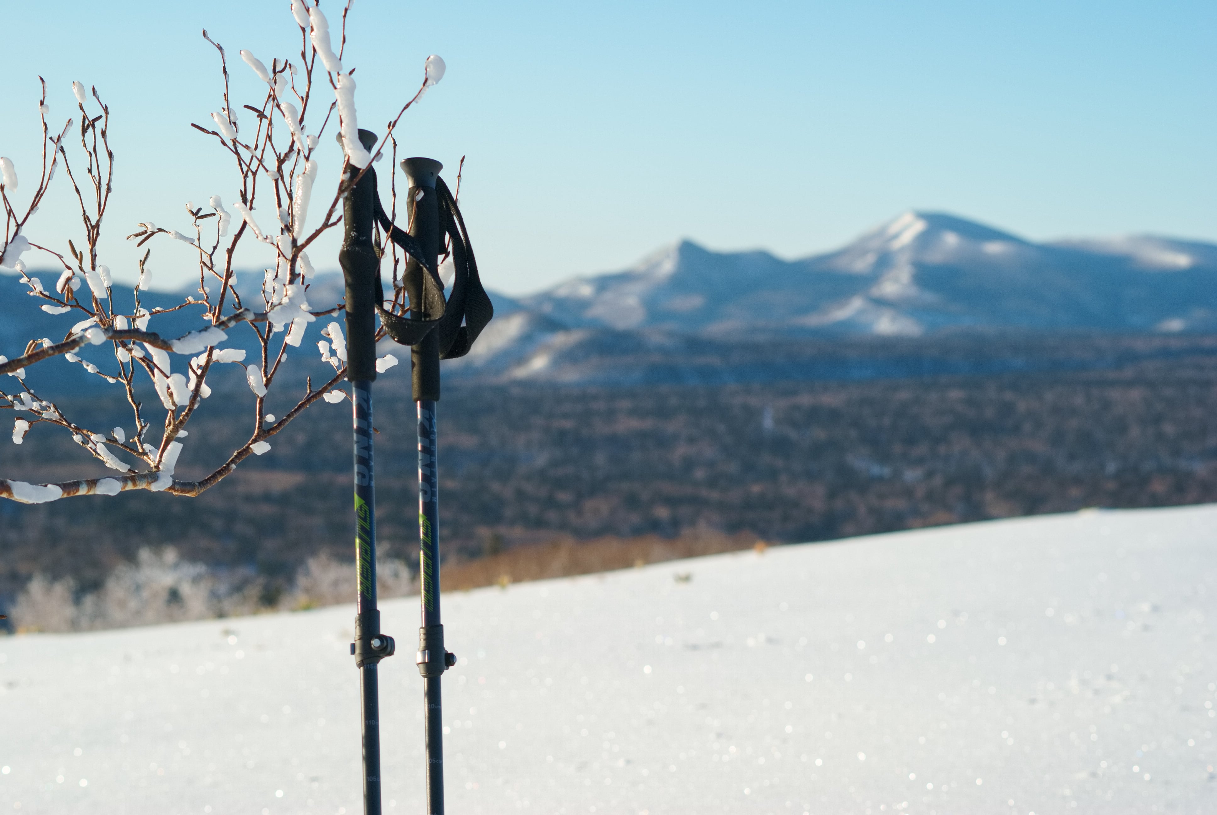 MOUNTAIN KING(マウンテンキング) Super Trekker compact-speedlock(1本)