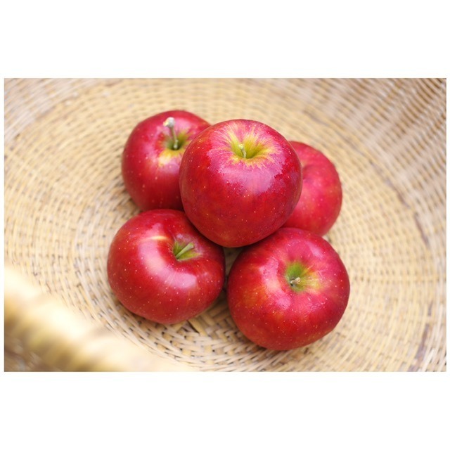 紅玉 ４.５ｋｇ