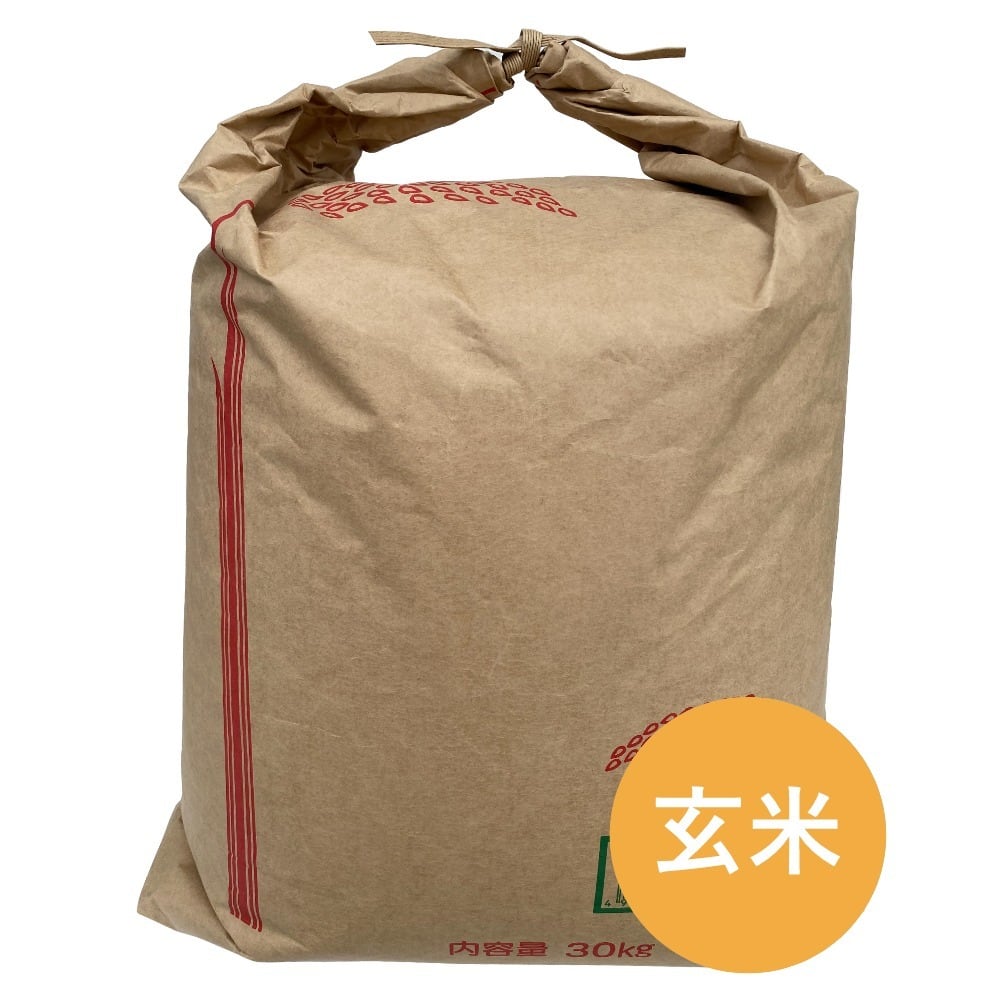 もち米 玄米３０kg品質保証された１等米の玄米です - 米