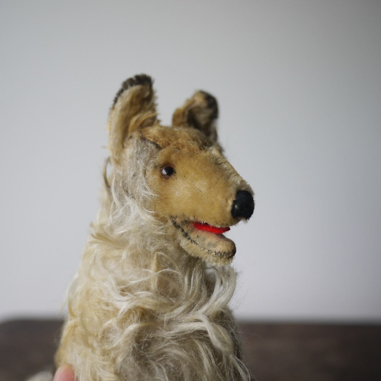 シュタイフ 犬 COLLIE ドイツ