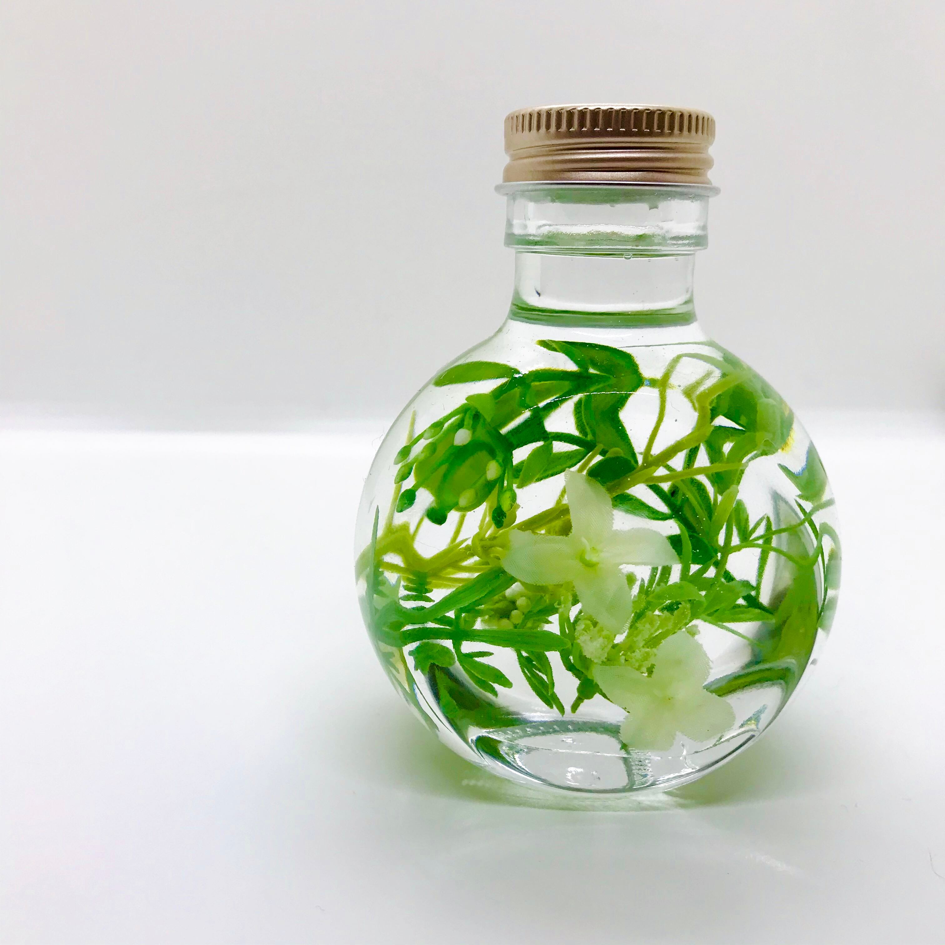 春のハーバリウム〜Happy Green〜 | Mikuy_Flower