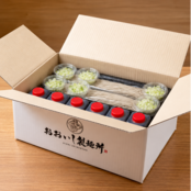 おおいし二八そば｜温そば用・6人前【ストレートつゆ・白ねぎ付き】