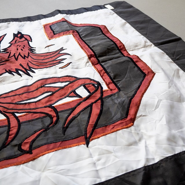"GAMECOCKS" used Flag
