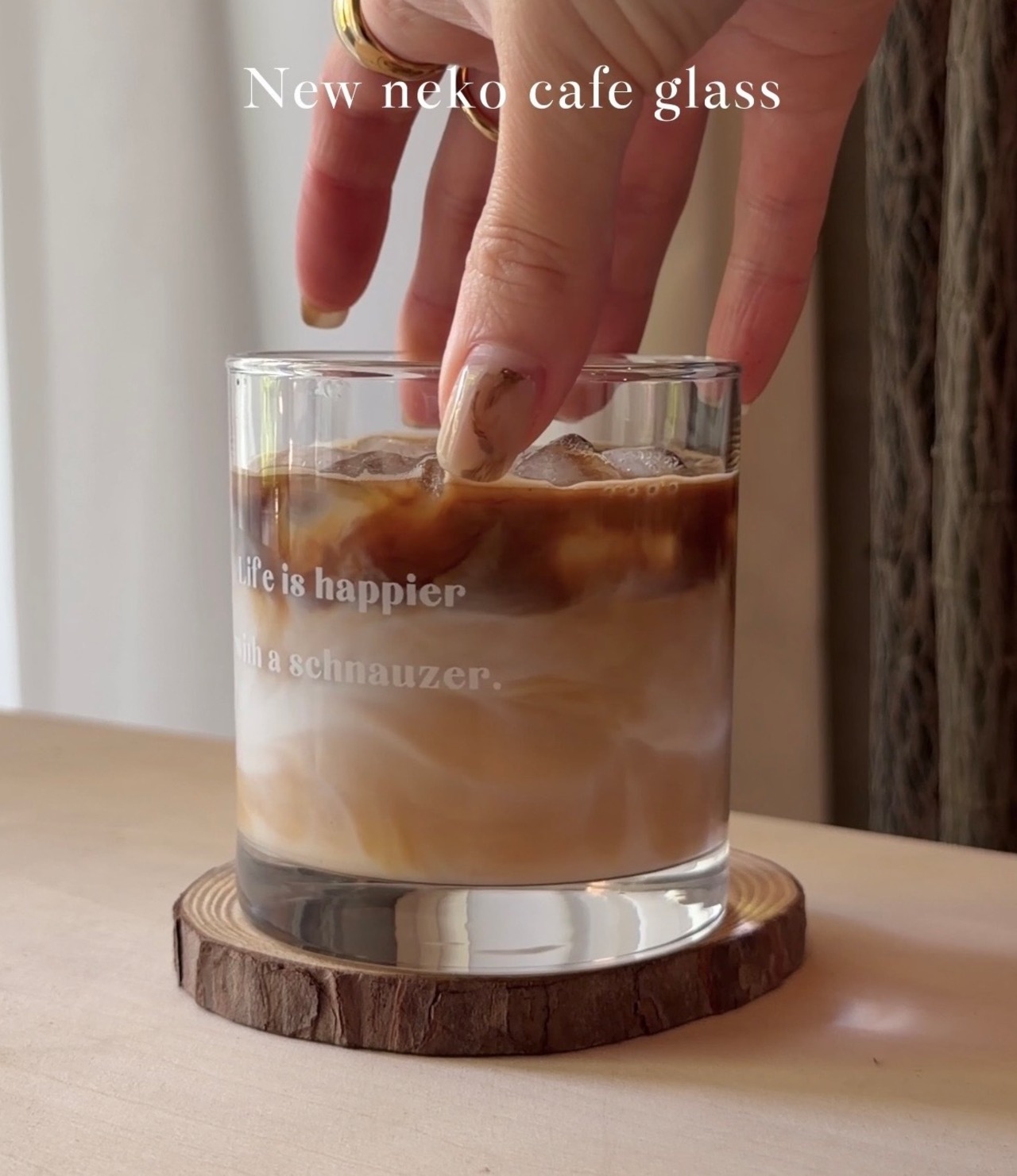neko cafe glass2026