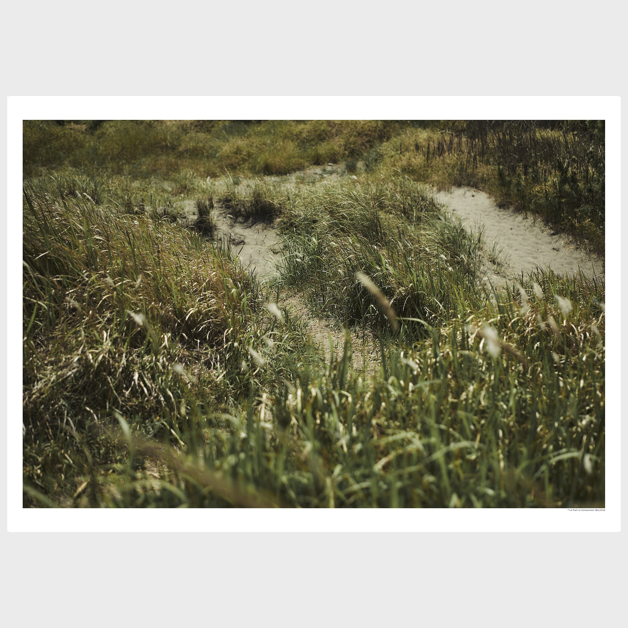 "The Path to Somewhere" どこかへ続く道