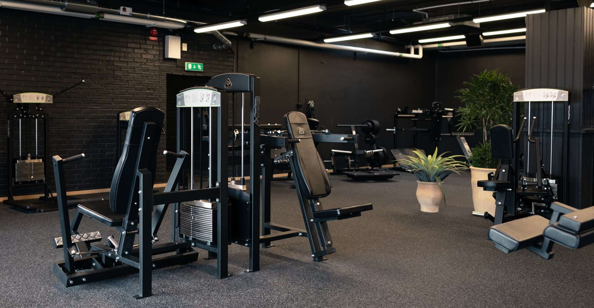 330 ショルダープレス | gymlecojapan