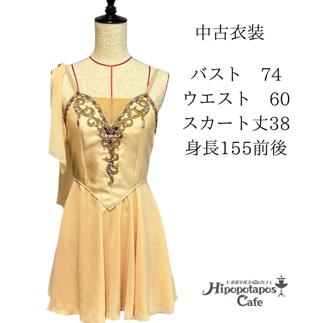 バレエ衣装 大人155センチ 学べる