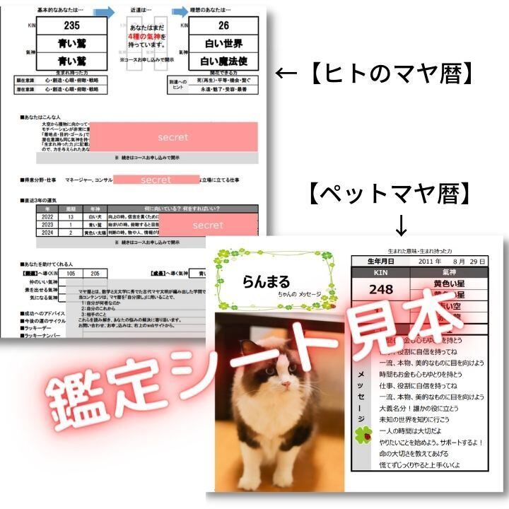 お試し】ヒトのマヤ暦プチ鑑定(鑑定書1枚/解説なし) | 宿命の農作物