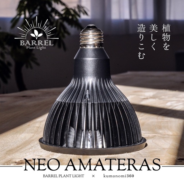 【Ｂ10】NEOAMATERAS　　20W　(ブラック）
