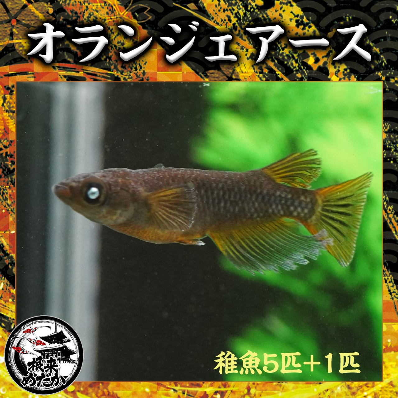 0f41e1850abb677276fa98da104a63