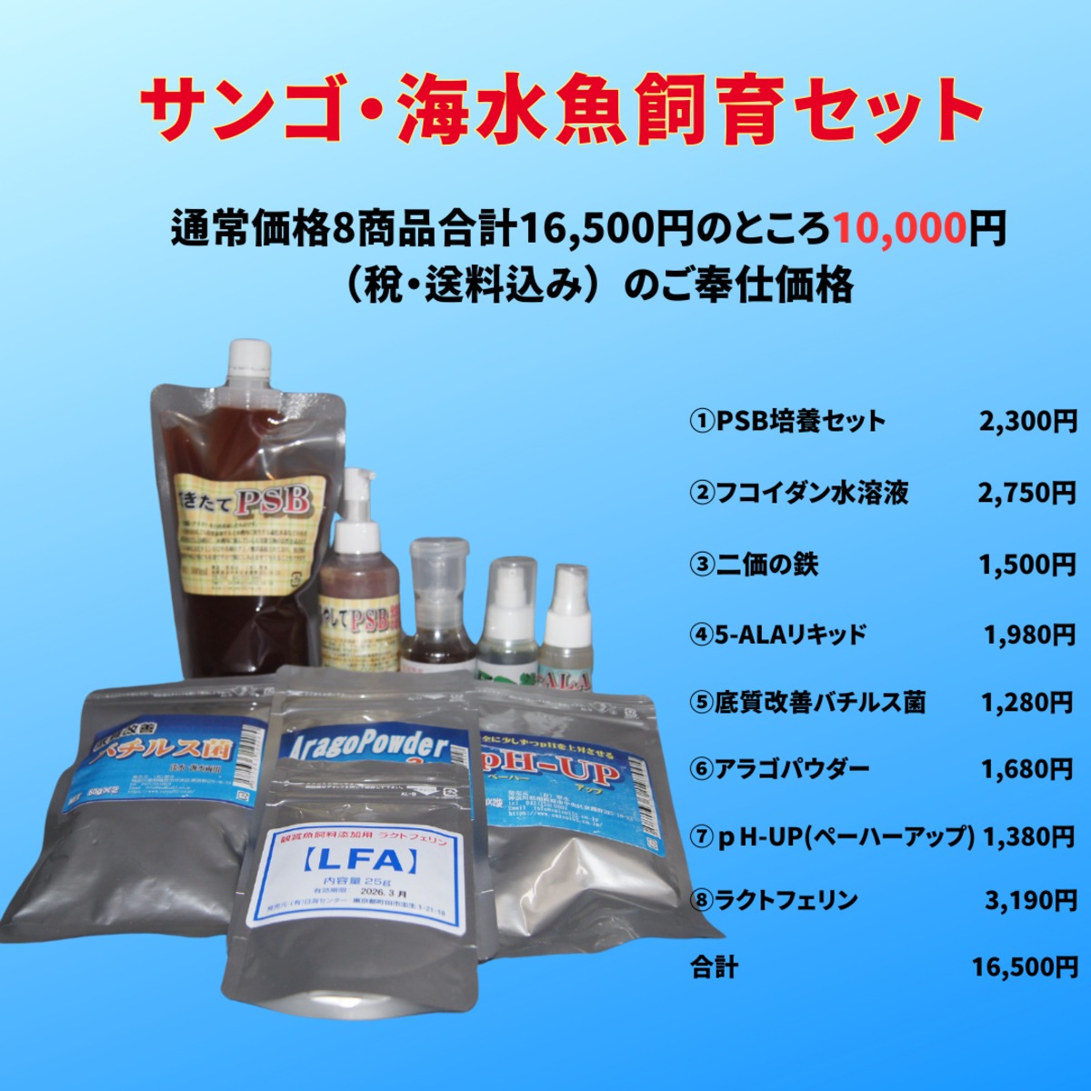 サンゴ飼育セット　大量 0f42d92c35adcce62287a838f943fa