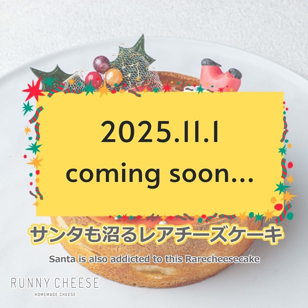 【2025年クリスマス】サンタも沼るレアチーズタルト 4号