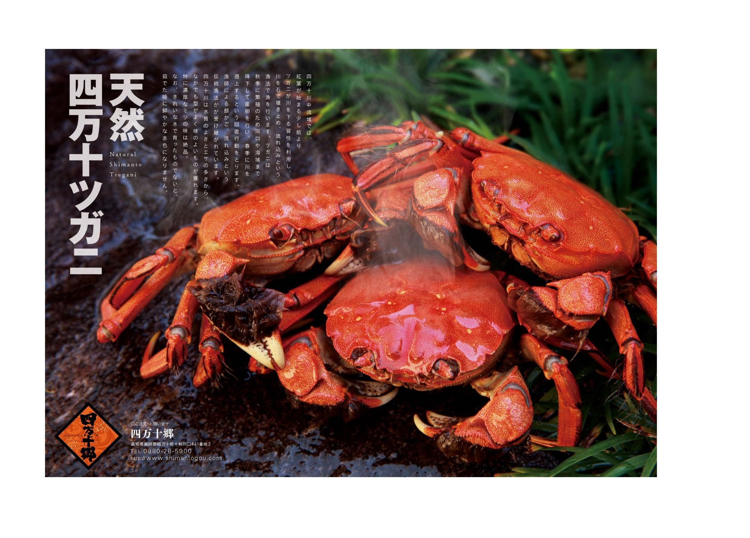 0f44e9a7da25faa1e44cb272f4a6ba