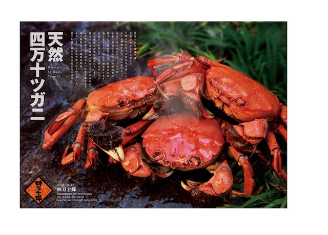 特大の珍味！ 天然うなぎ 白焼 370g前後