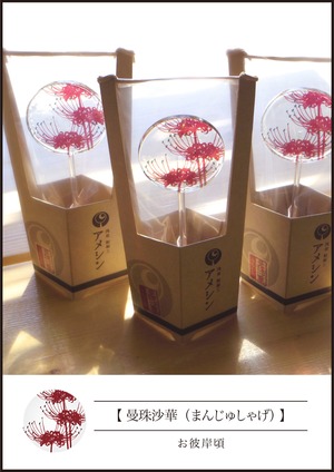 うちわ飴【曼珠沙華（まんじゅしゃげ）】：秋頃限定柄