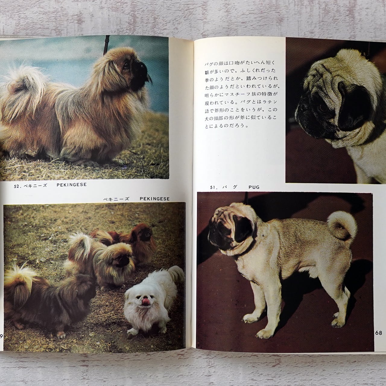 わたし犬ですか?全９種＋色違い１種
リーメント main-82.jpg