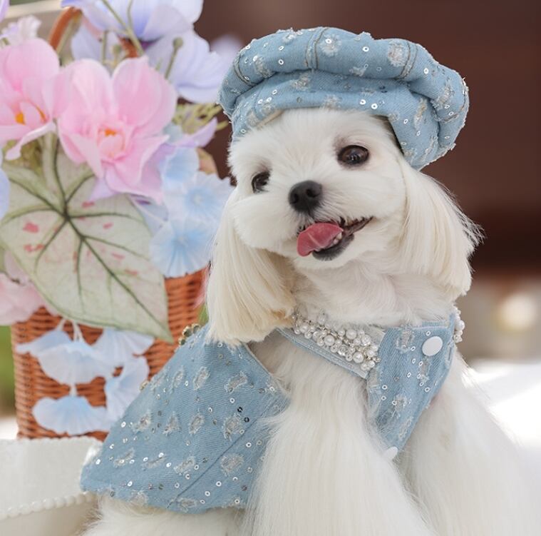 《予約》№3102323 セットアップブルーワンピ(服)