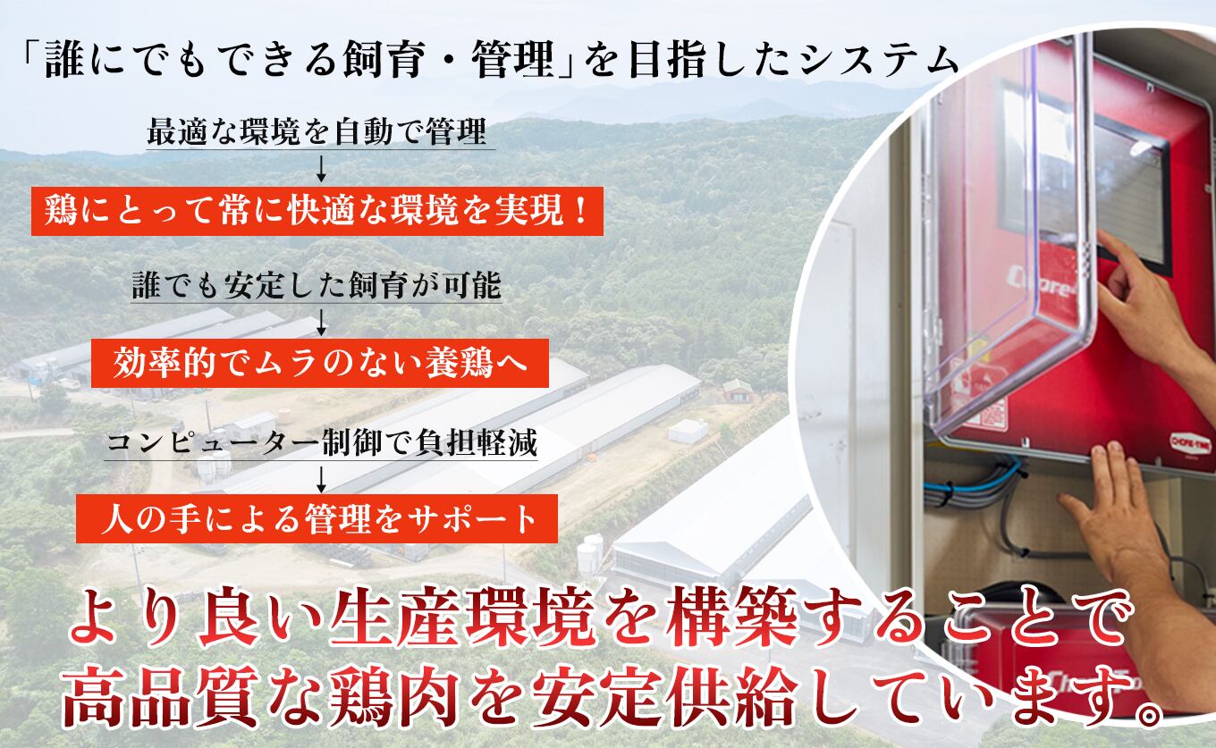 高知県産若鶏 むね肉2.3kg ブランド鶏 よさこい尾鶏 | 高知県大月町の