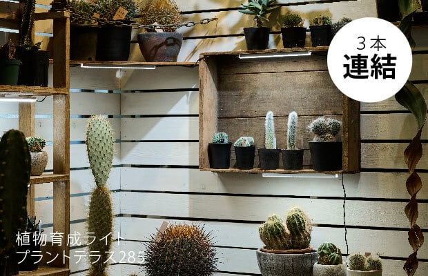 植物育成ライト プラントテラス285 連結タイプ LEDライン照明 バー
