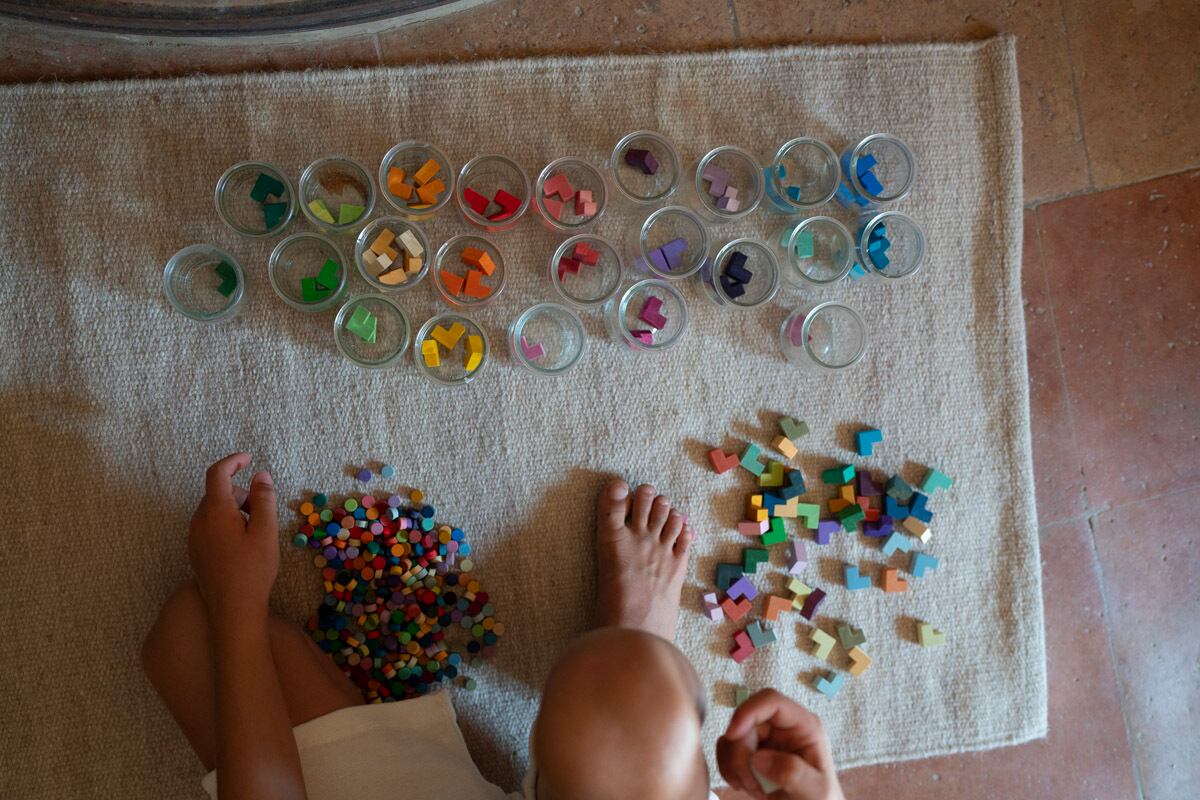 GRAPAT ミスマッチ&ブルーム | 木のおもちゃ Bloom