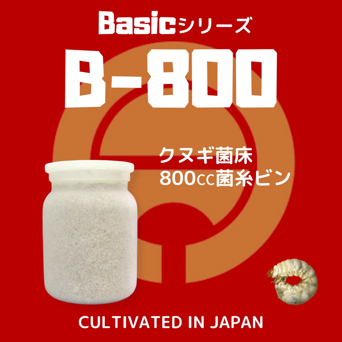 BREED 1100菌糸ビン 30本 sat様 【公式通販】