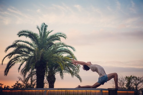【アヌサラヨガ    in東京】  ～バランスアクション～　2月22日