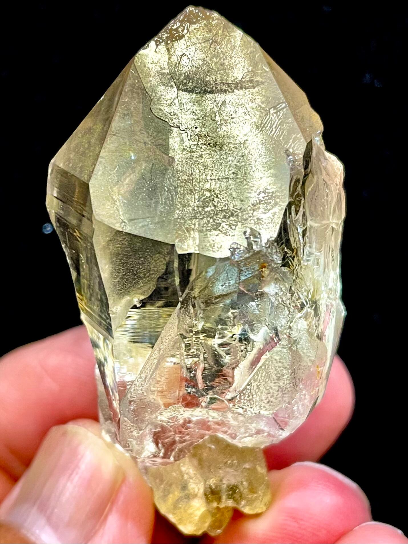 50) パキスタン・ヒマラヤ「スカルドゥ」ゴールデンヒーラー