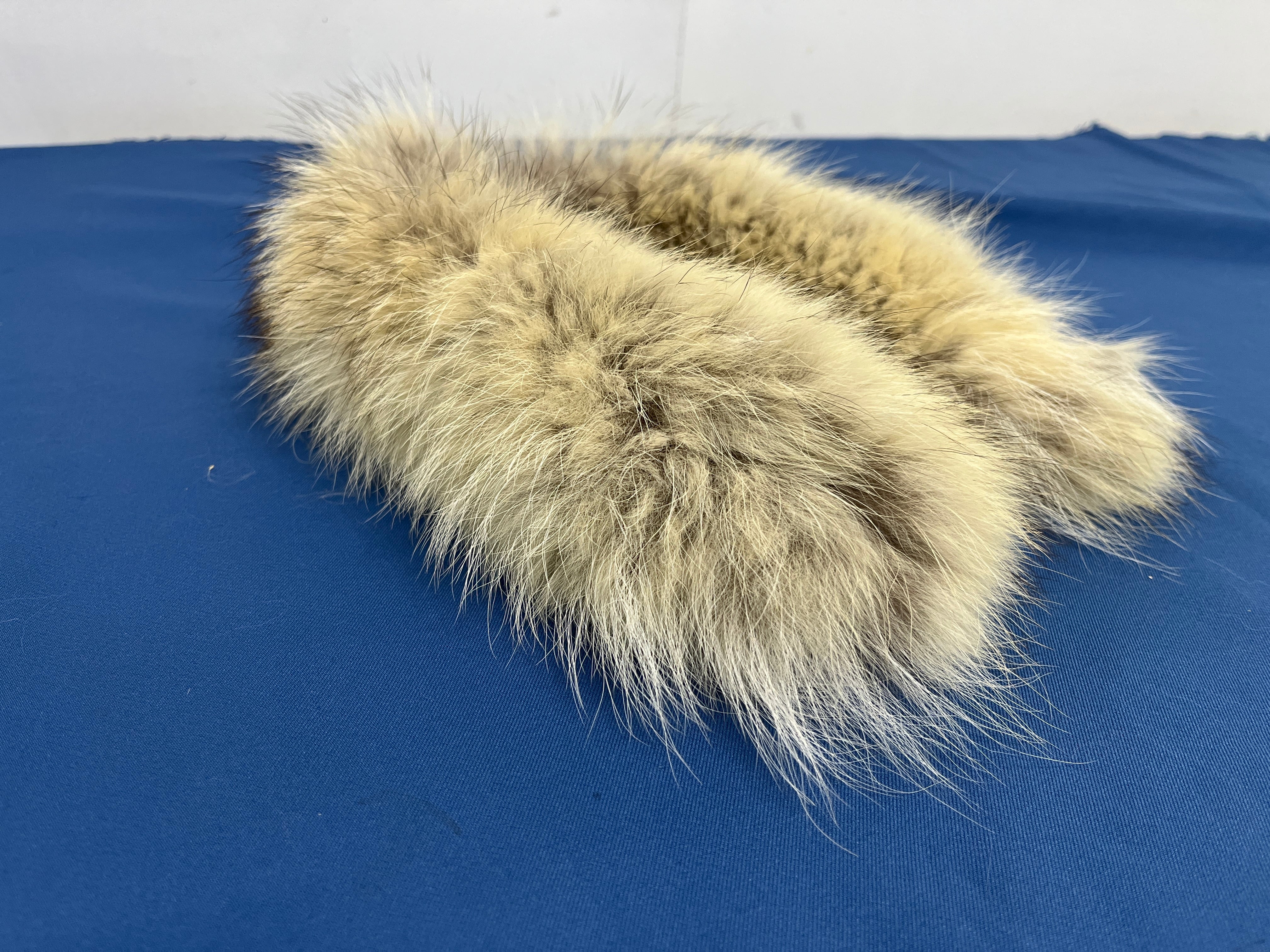 0f65cbb522744a139ac452348abede