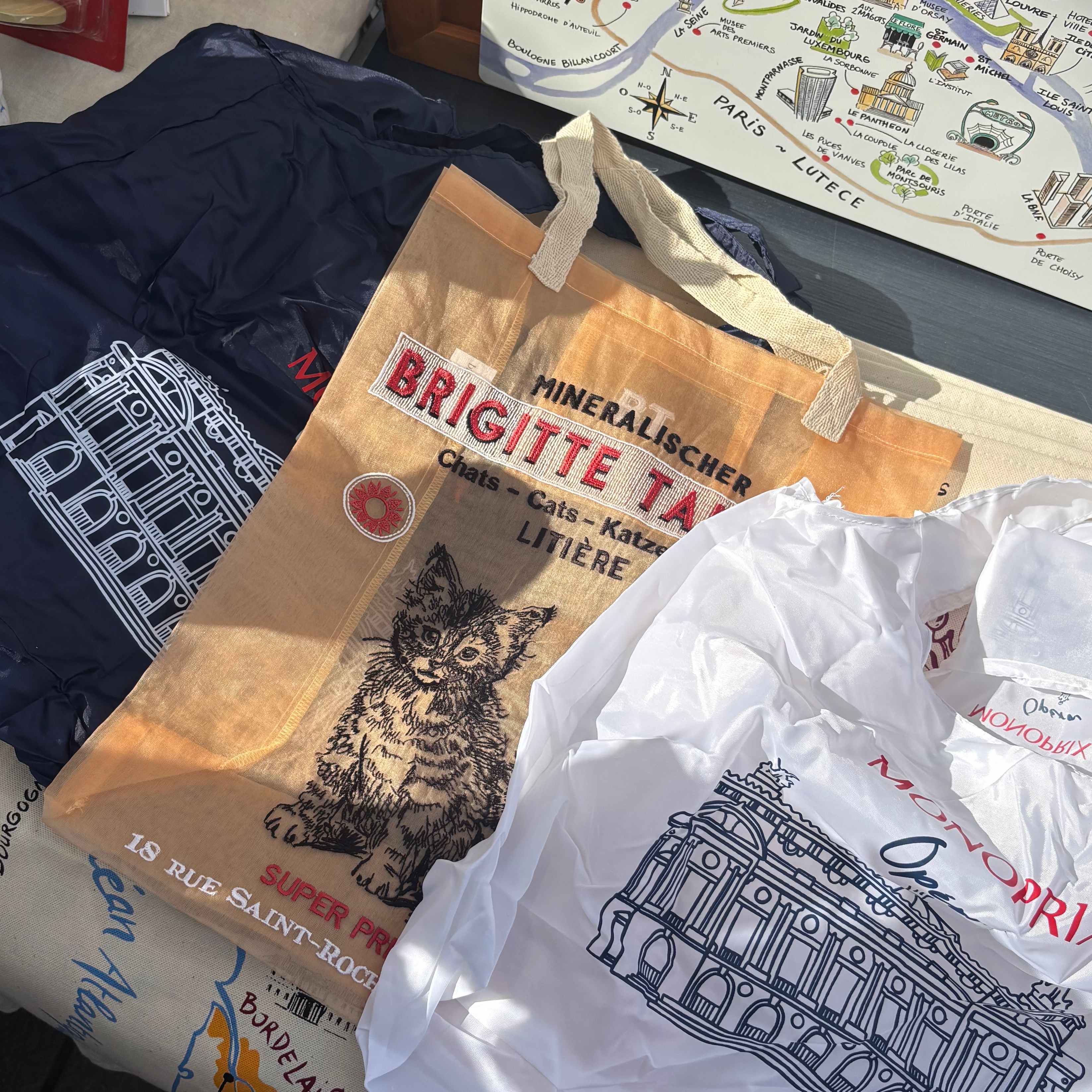 【BRIGITTE TANAKA】オーガンジーバッグ(Chat/Orange)