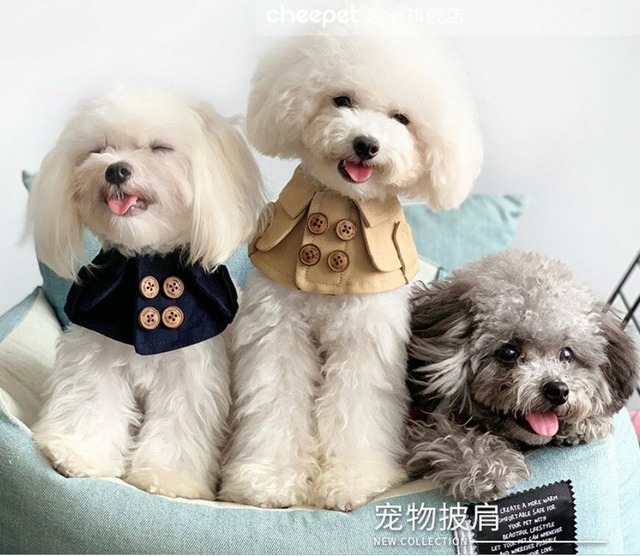 ブリティッシュショール(RE0032)