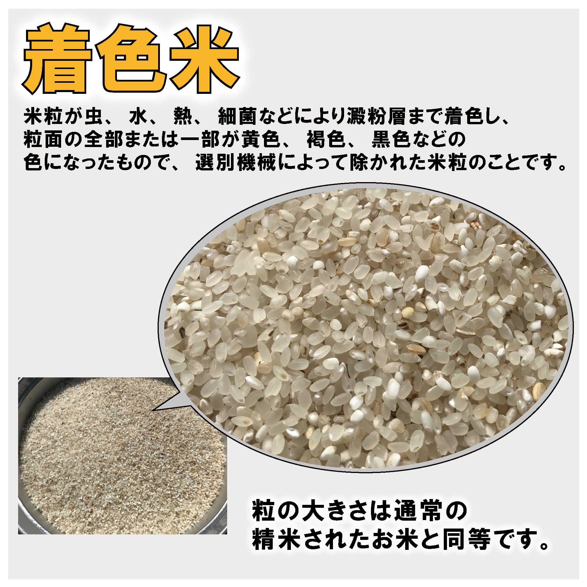 飼料米（着色米 ）20kg 鳥・ペット・家畜などのエサ用 | みずほ食糧