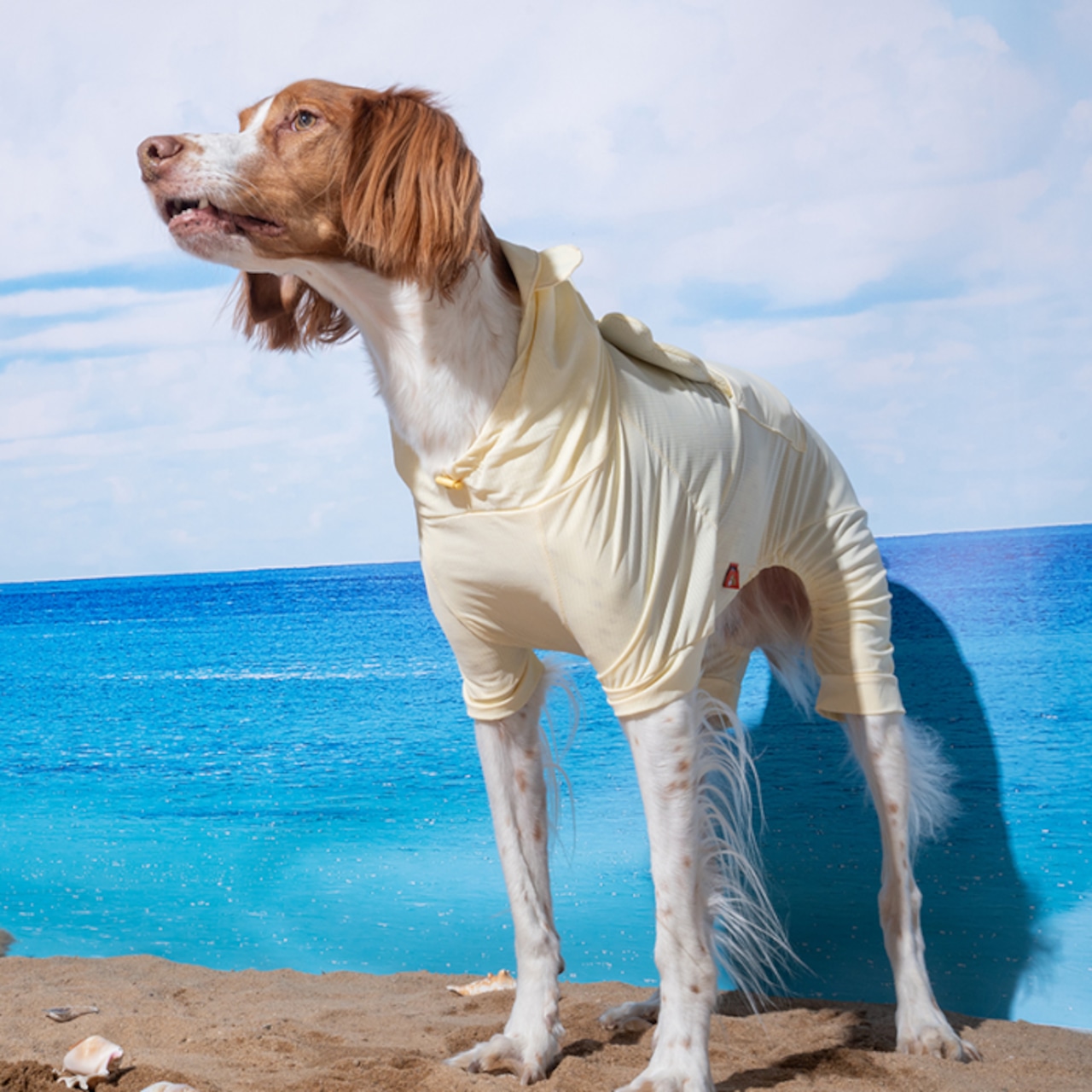 【PUPPYGARRERY公式】Big bear cooling jumpsuit 2XL-3XL