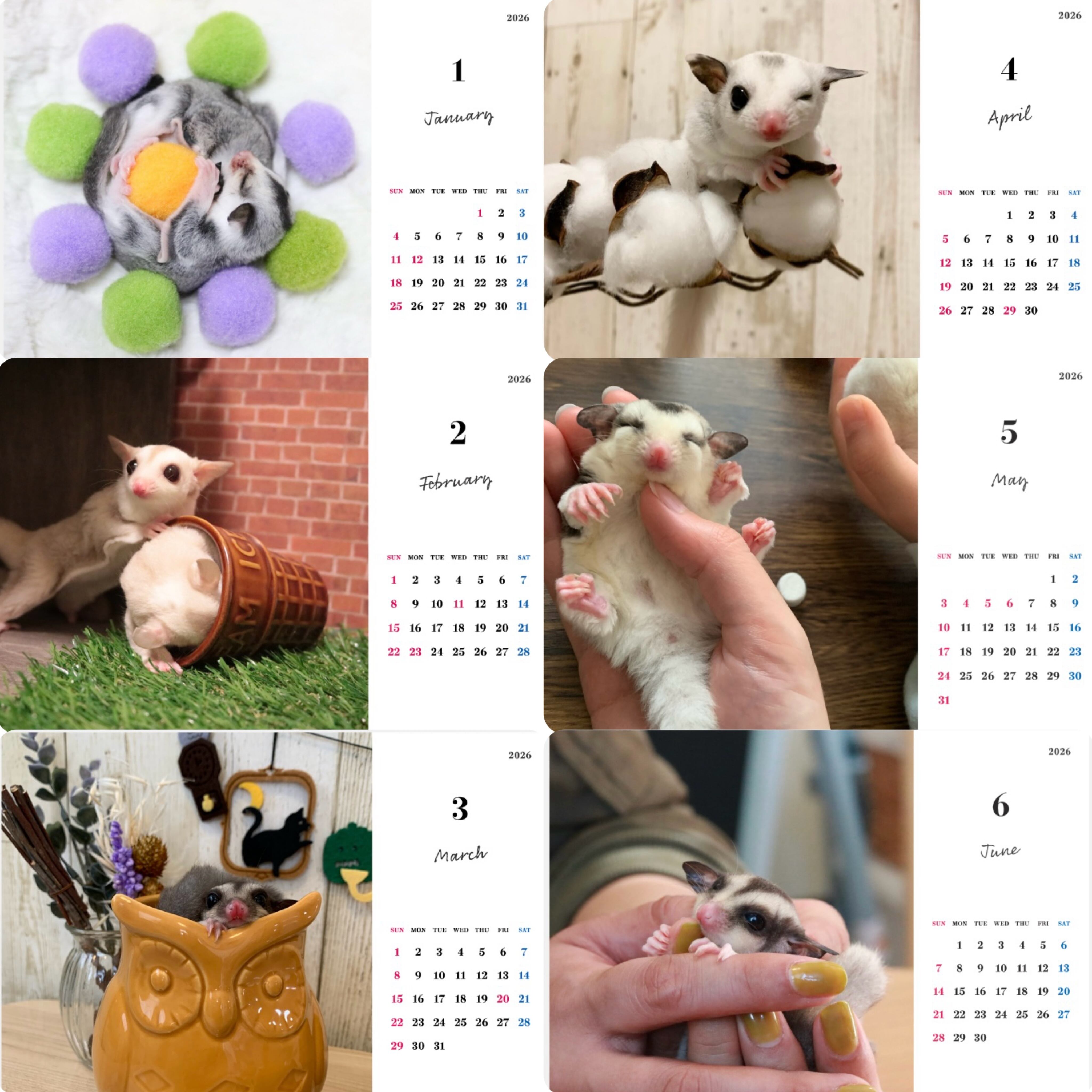 フクロモモンガ☆ハンモック | ▽△OHAMOMO△▽