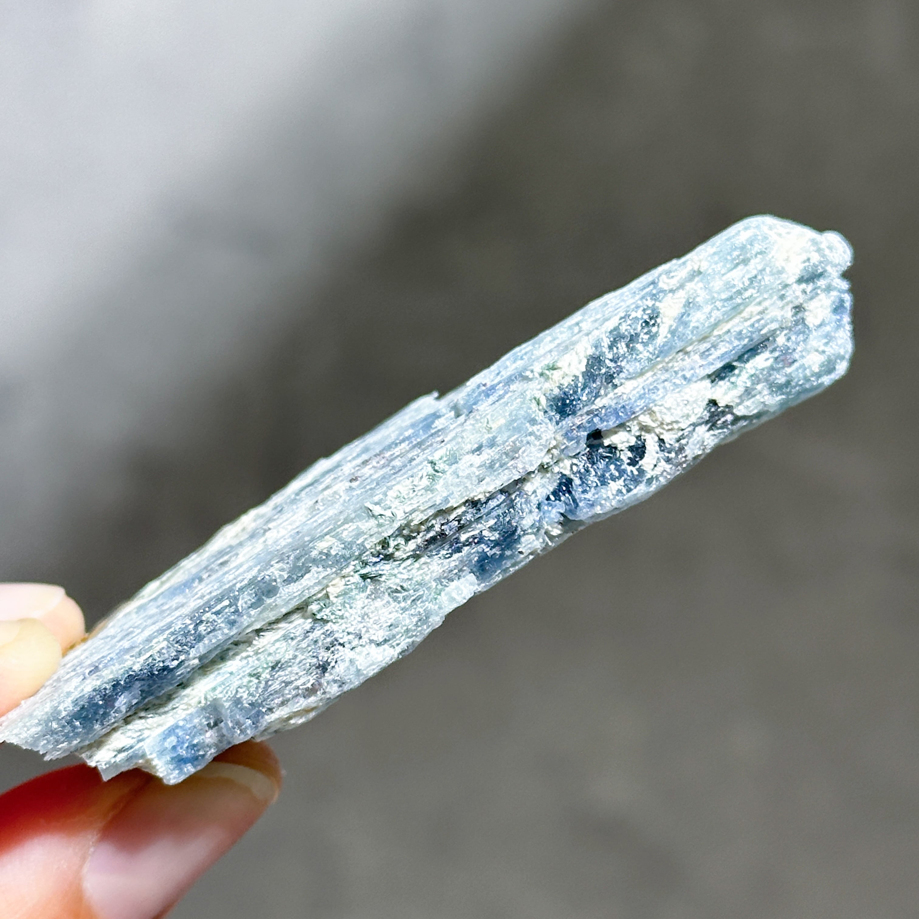 【特大】カイヤナイト 結晶 カイヤナイト 原石73◇ Kyanite ◇天然石・鉱物・パワーストーン