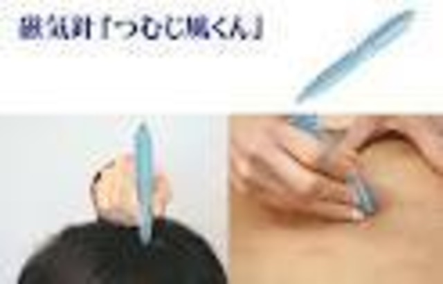 【磁気針】つむじ風君