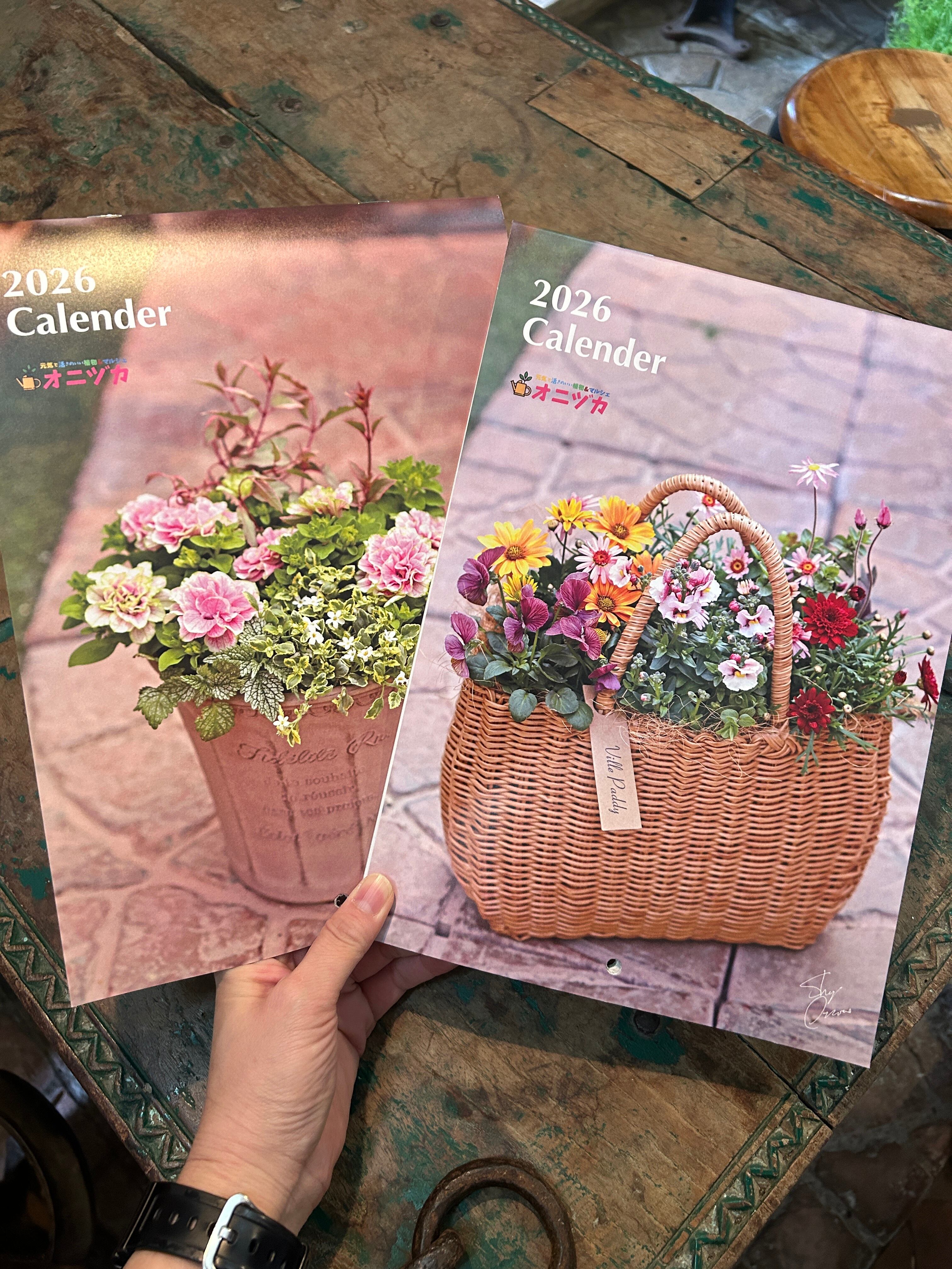 碧いうさぎ3ポットセット！ | オニ通