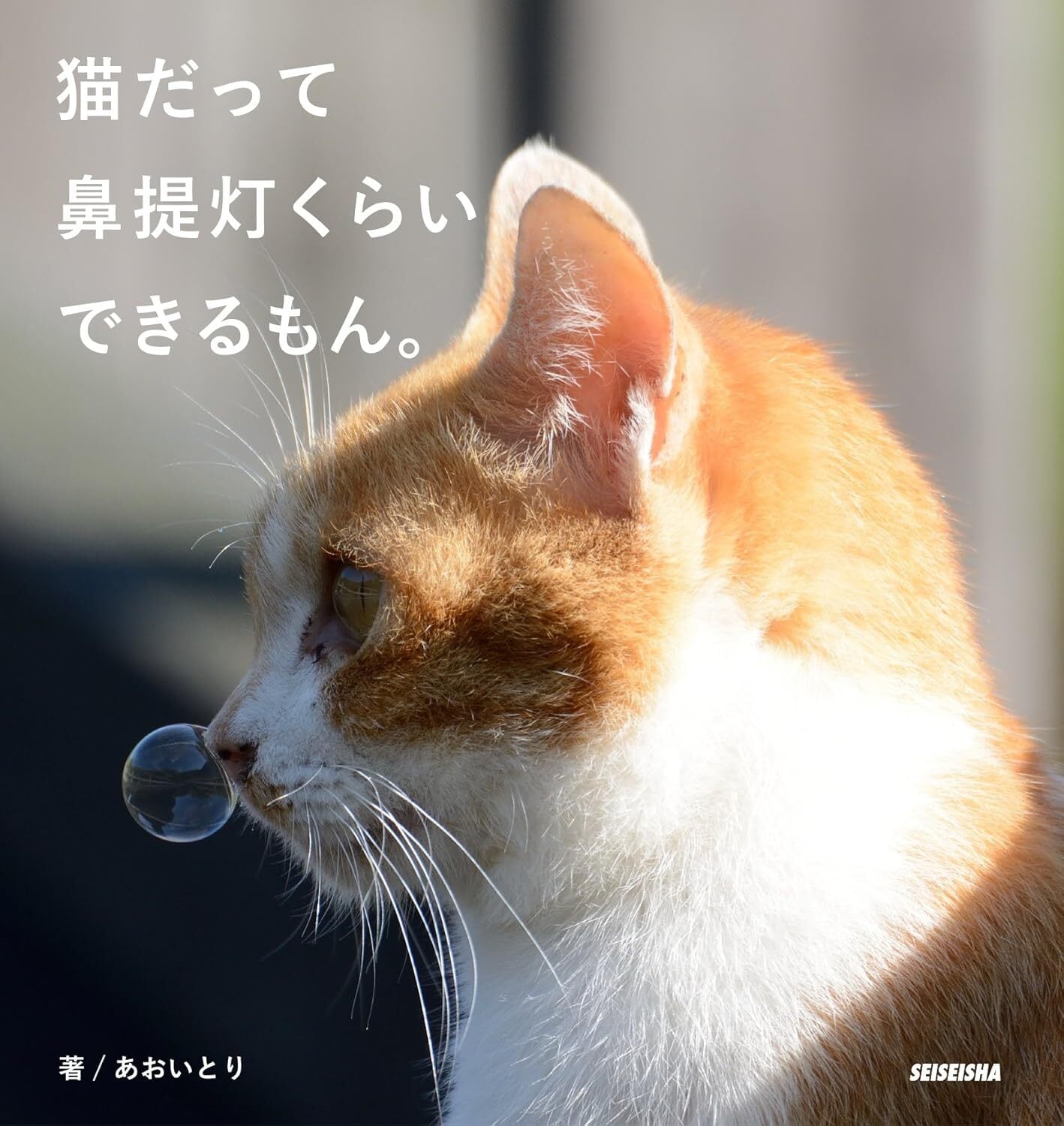 ショップあおいとり