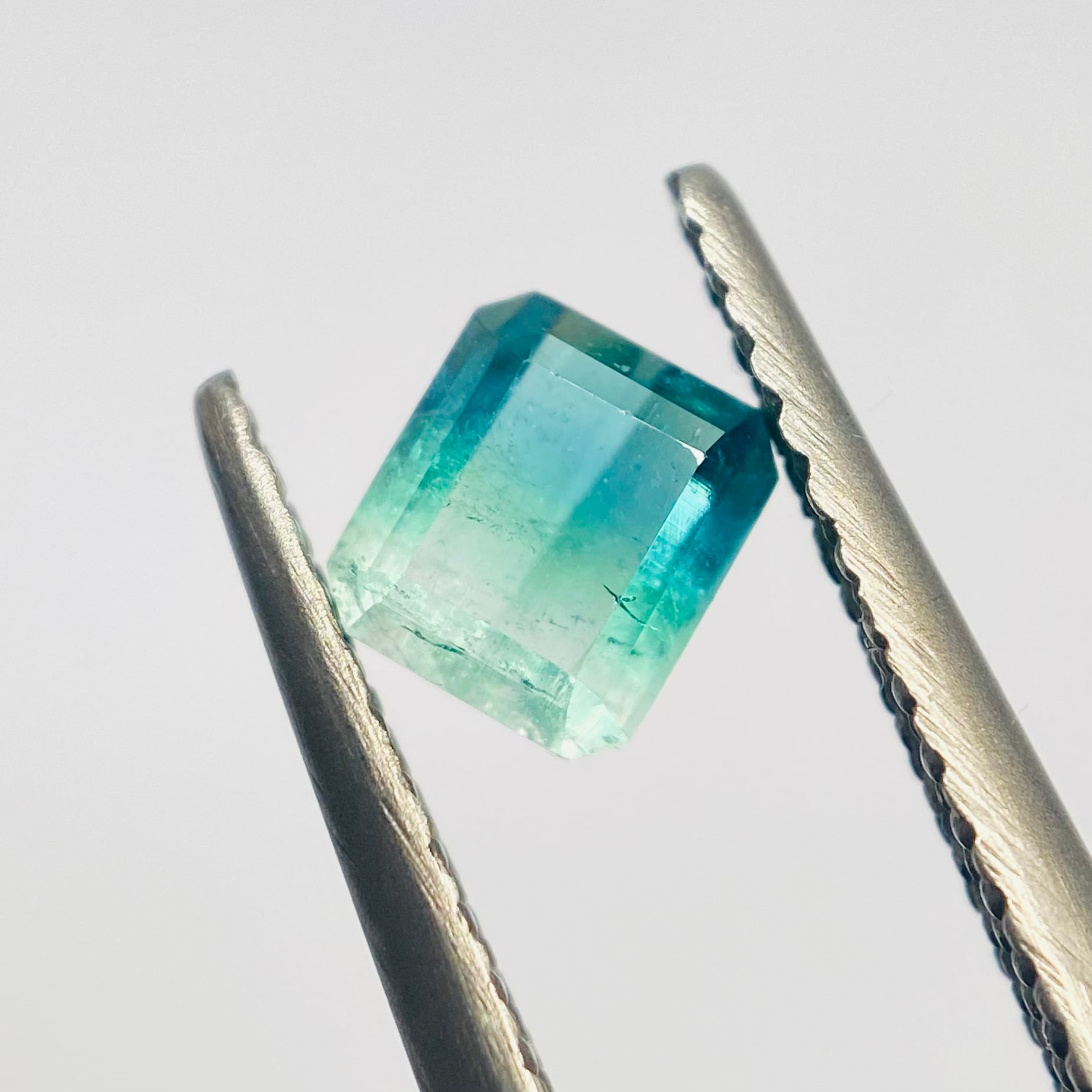 癒しカラーのパーティーカラートルマリン