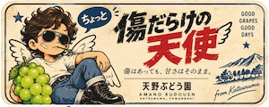 【クール便】コちょっと傷だらけの天使｜シャインマスカット 2kg