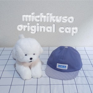 michikuso original cap (E)